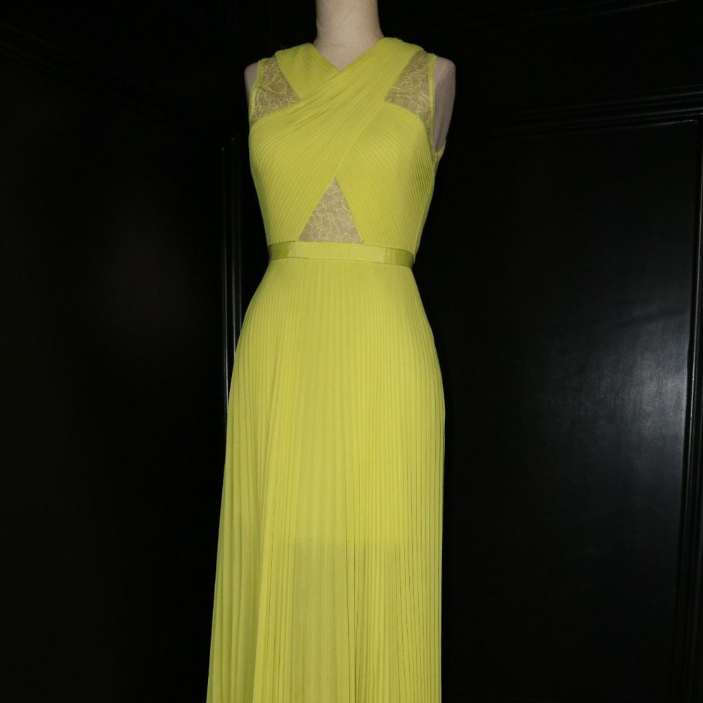 BCBG Caia Chiffon-pleated Gown dress